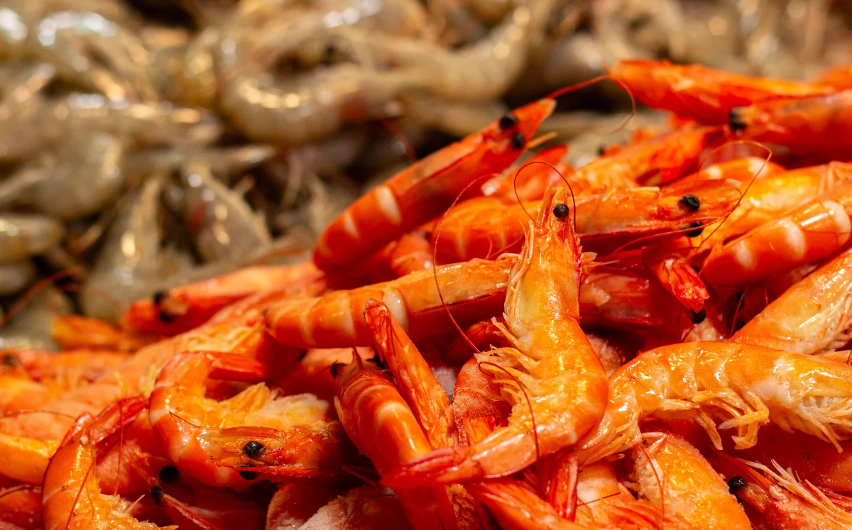 Camarão acabado de chegar, amontoado na banca